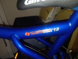 18 speed Mountain bike