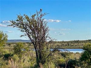 Experience living close to nature in this exclusive wildlife estate