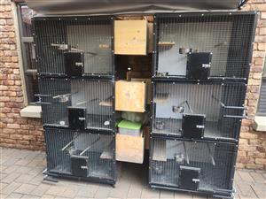 Breeding nests for parrots