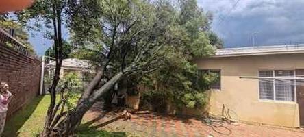 Tree felling