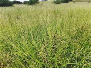 Prime 840sqm Freestanding Stand in Bendor – Build Your Dream Home!