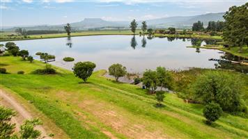 Non Distressed Auction: Prime 1,172sqm Dam-Facing Stand