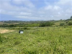 FARM IN THE CITY WITH SEA VIEWS