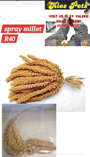 Millet spray for birds