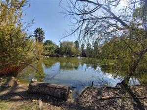 House For Sale in Homelands