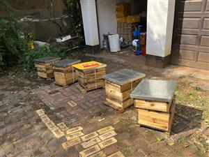 Bee hive , beehive full Langstroth