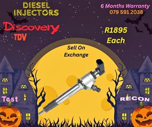 Discovery TDV diesel injectors