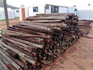 1.8m 80mm creosote treated poles