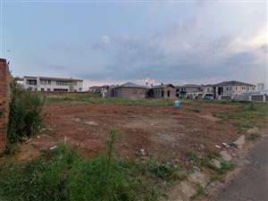 A huge stand to build your dream home!