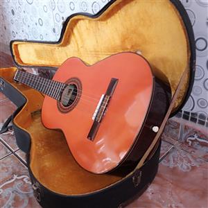 An Acoustic guitar with a manual n lesson book, two training CD's and a guitar c