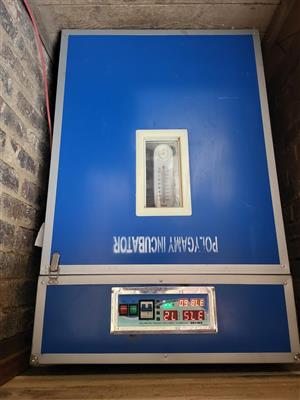 Incubator Polygamy 350 eggs 