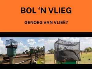 Bol 'n Vlieg Vlieëvanger