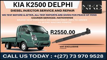 Kia K2500 Delphi Diesel Injectors 