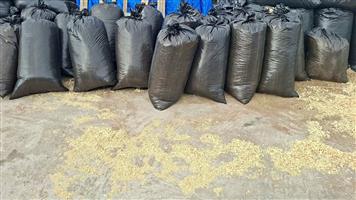 Pine Shavings/Bedding for Livestock