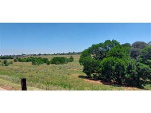 Vacant Land Agricultural For Sale in Witkop