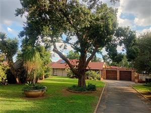 Bachelor flat for rent in Bonaero Park pet friendly