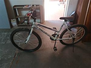 townsend women's bike