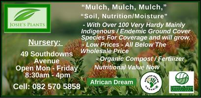 Josies Plants & African Dream Organix