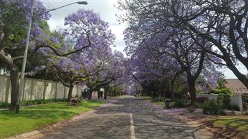 Chic, Classy Penthouse