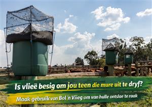 Bol 'n Vlieg Vlieëvanger