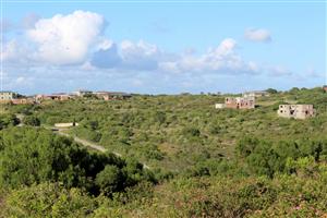 Secluded Cul de Sac Plot in Greenfields in Port Alfred