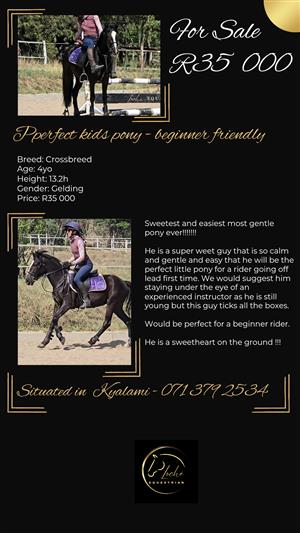 Perfect kids pony