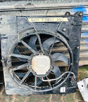 GWM P-Series fan 2022/23