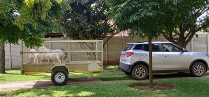 PET & ANIMAL TRANSPORT 