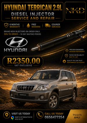 Hyundai_Terrican_2.9L_Delphi_Diesel_Injectors