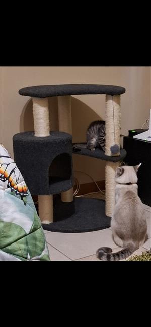Cat scratching stand for sale. R550.00 Montana Pretoria 