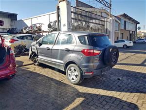 Ford Ecosport Ford stripping