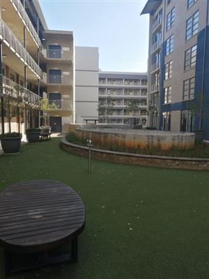 Modern 1-Bedroom Apartment at IQ Brooklyn