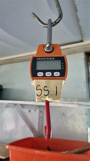 Electronic Hanging Scale