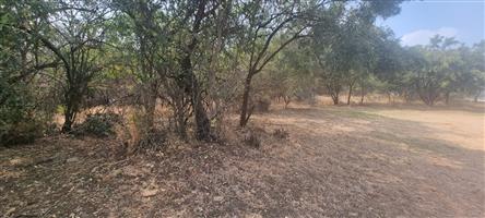 Prime 975m2 Stand for Sale in Sable Hills -Build the Home You Deserve!