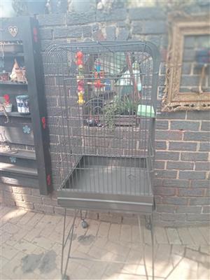 Bird cage