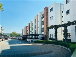 1 Bedroom Apartment For Rent in Ferndale