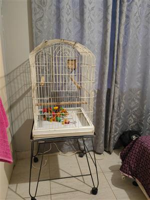 Bird cage for sale northcliff