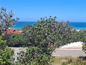 Seaview stand in upmarket and quiet area