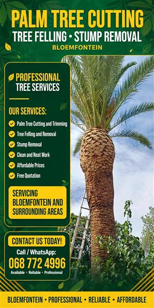 Tree felling and removal in Bloemfontein 