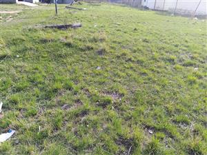 Land available in Osizweni