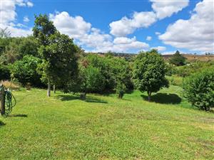 RIVERFRONT PROPERTY FOR SALE