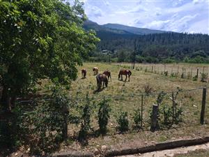 Prime erf on Suurbraak's main road