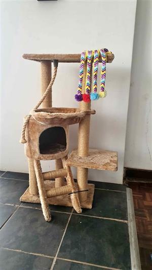Cat Scratch