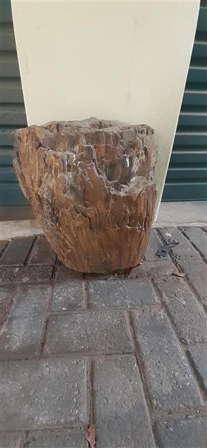 Petrified wood for aquarium