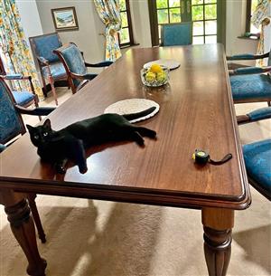 10 seater boardroom table & chairs