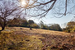 Own the Best Views in Eastgate Estate