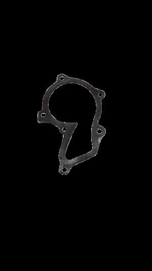 FORD FOCUS WATER PUMP GASKET (2011-2018)
