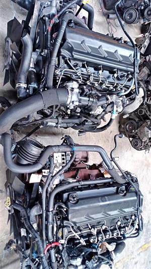 FORD RANGER T6 3.2 SA2K ENGINES FOR SALE