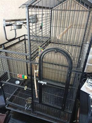 Parrot cage