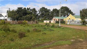 Huge corner stand in Botrivier